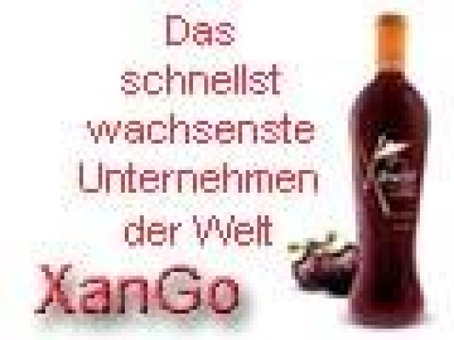 Streamline Power Marketing 2008 ! - Stellenmarkt - Ehrwald/Tirol