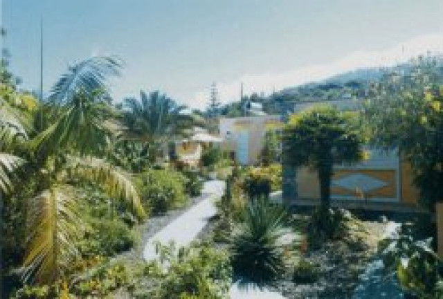 El Jardin - Urlaub Reise - 