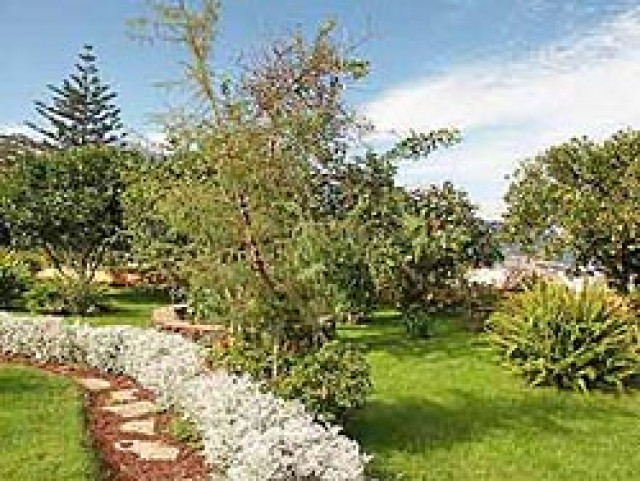 Teneriffa Villa Caya - Urlaub Reise - Hamm