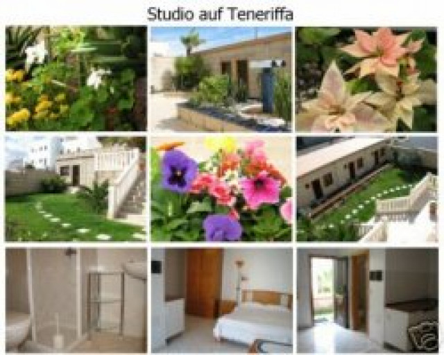 San Isidro - Studios und Appartments - Urlaub Reise - 