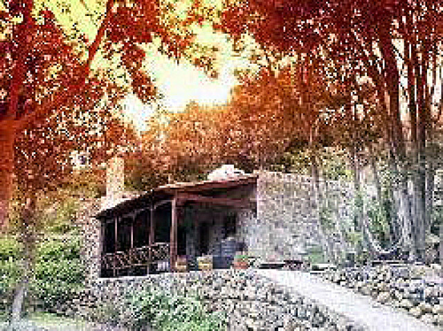 Ferienhaus Granadilla in La Tejita/El Medano im Süden von Teneriffa - Urlaub Reise - 