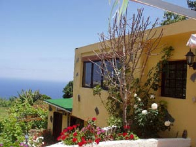 Die Finca Natural bei Icod de los Vinos, im Nordwesten von Teneriffa - Urlaub Reise - 