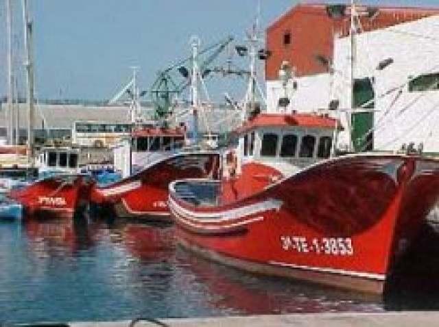 Teneriffa Appartement Cactus - Urlaub Reise - Hamm