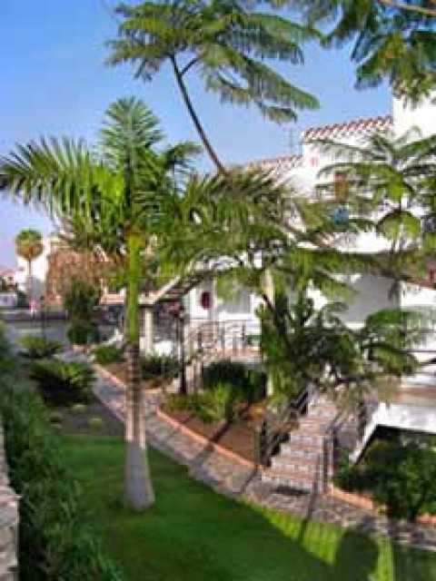 Casa Pepe - Urlaub Reise - 