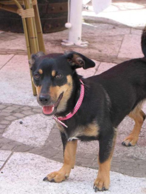 Suche Artgenossen! - Tiere - 